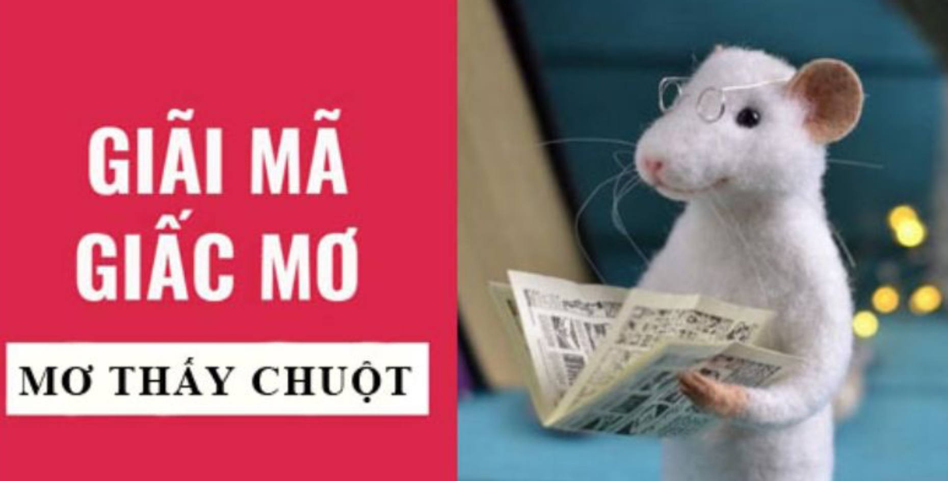 Mơ thấy chuột chết và giải mã giấc mơ từ Nhatvip