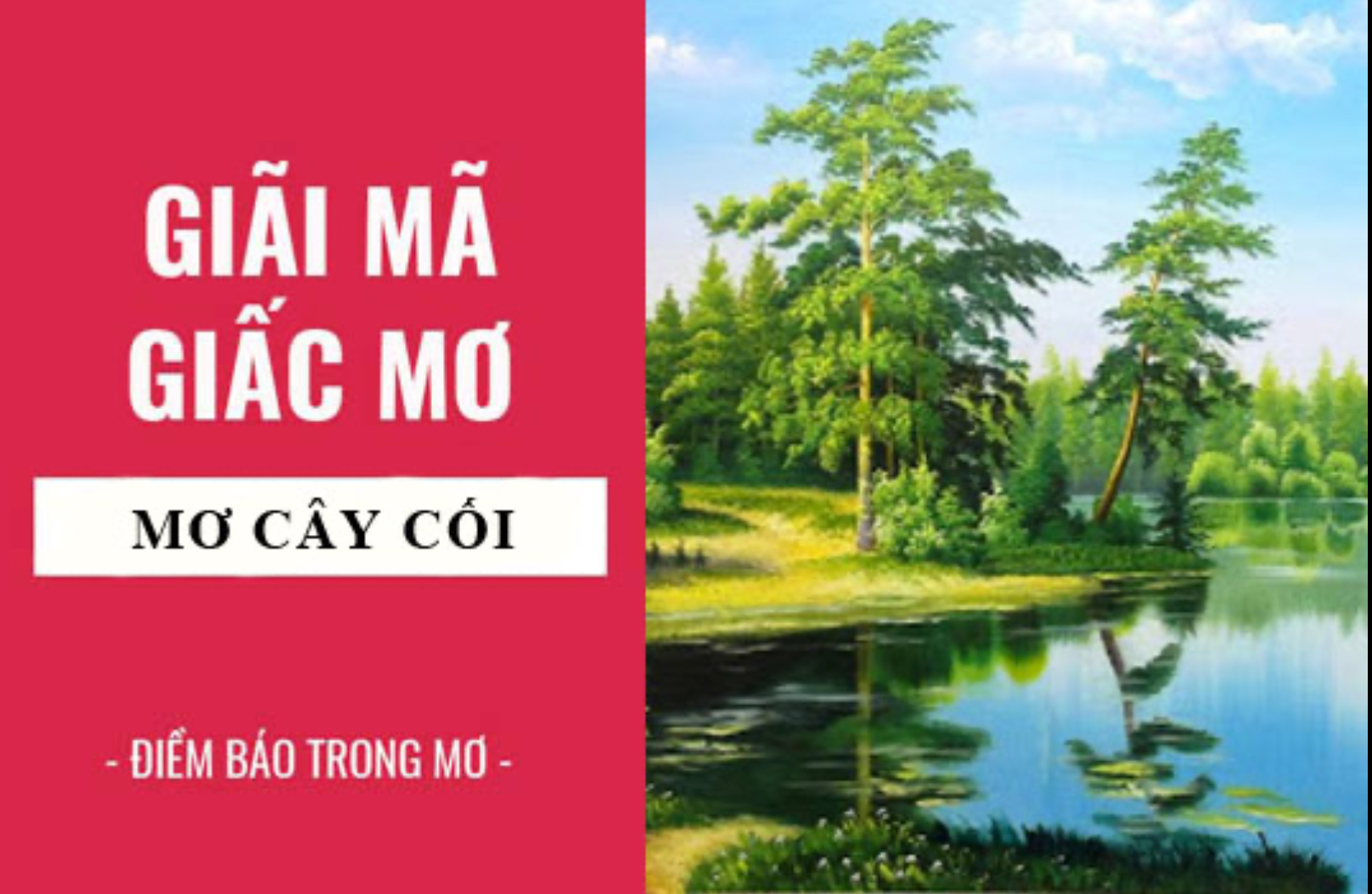 Nằm mơ thấy cây cối là điềm báo lành hay dữ khi tai Nhatvip?