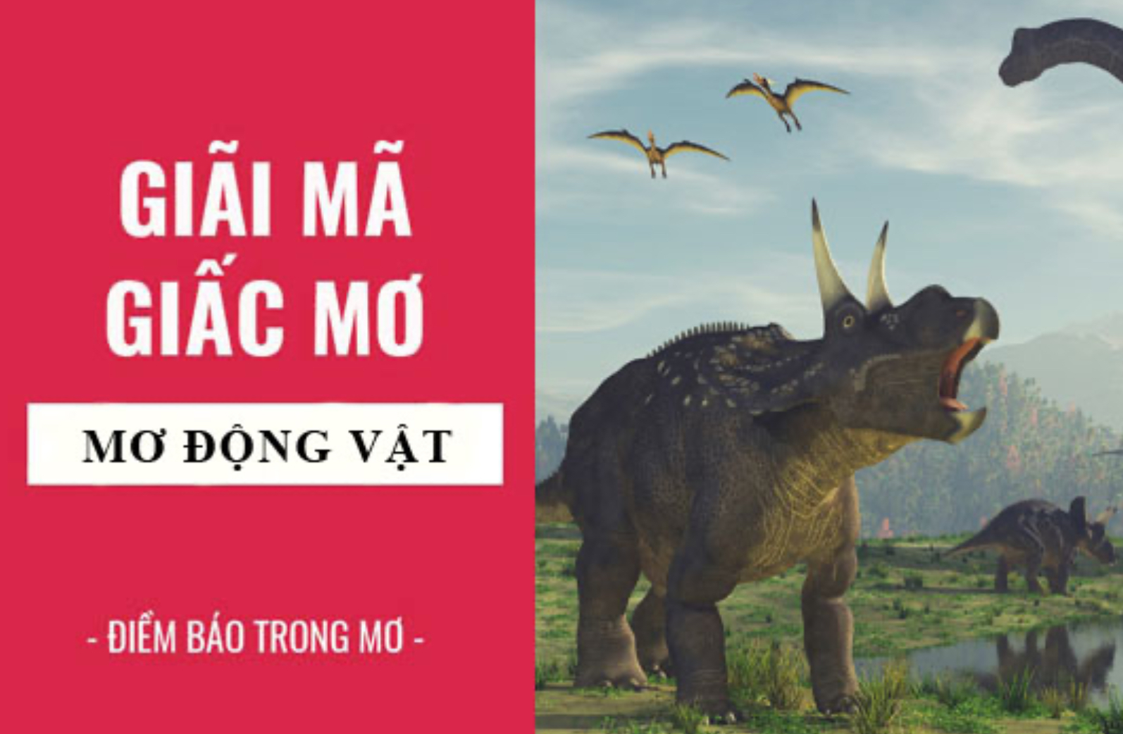 Giấc mơ thấy động vật có ý nghĩa gì khi truy cập link tai Nhatvip?