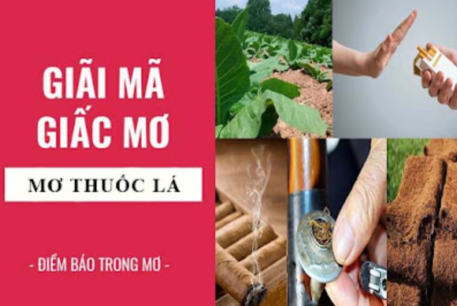 Mơ thấy thuốc lá ý nghĩa và con số nên đánh Nhatvip?